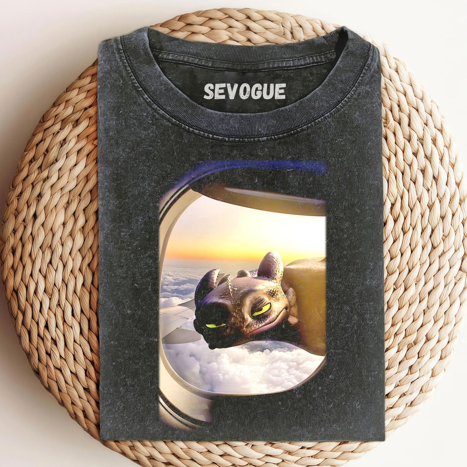 Toothless Is Outside The Plane Unisex Tee, Sweatshirt & Hoodie